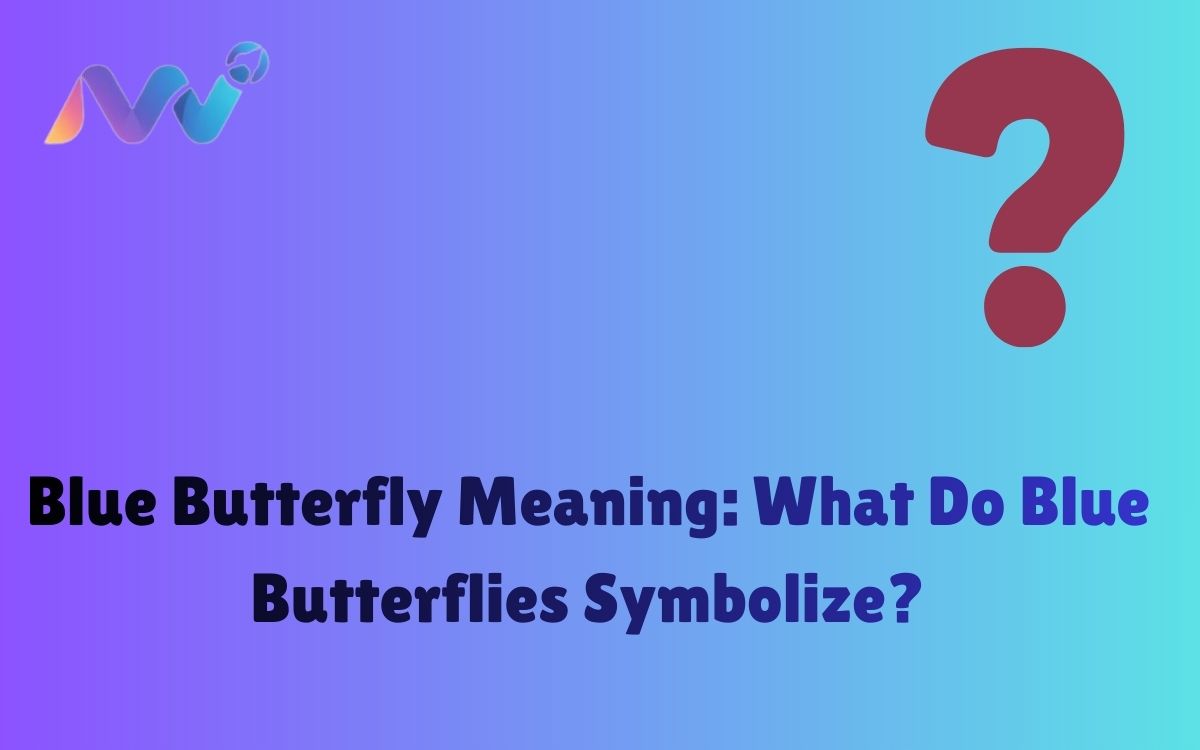 Blue Butterfly Meaning What Do Blue Butterflies Symbolize