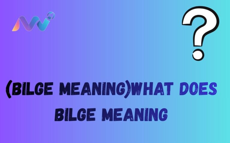 (bilge Meaning)What does bilge meaning