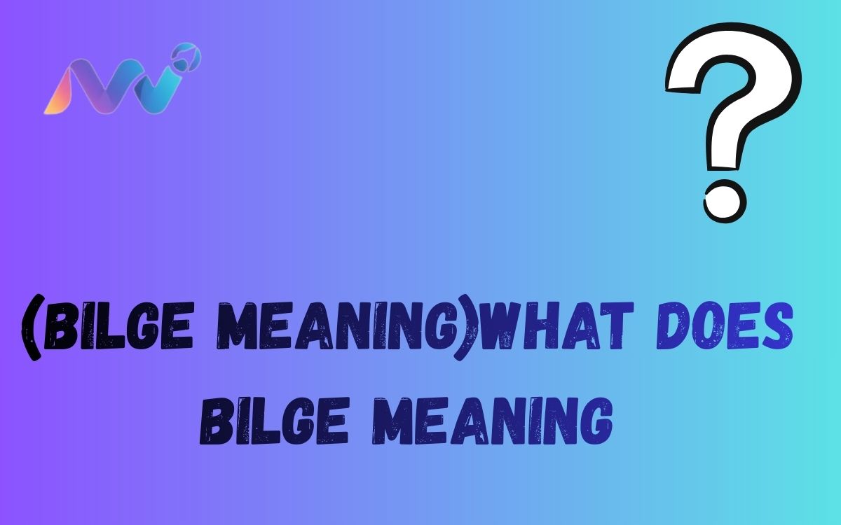 (bilge Meaning)What does bilge meaning