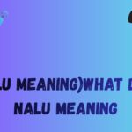 (Nalu meaning)what does nalu meaning