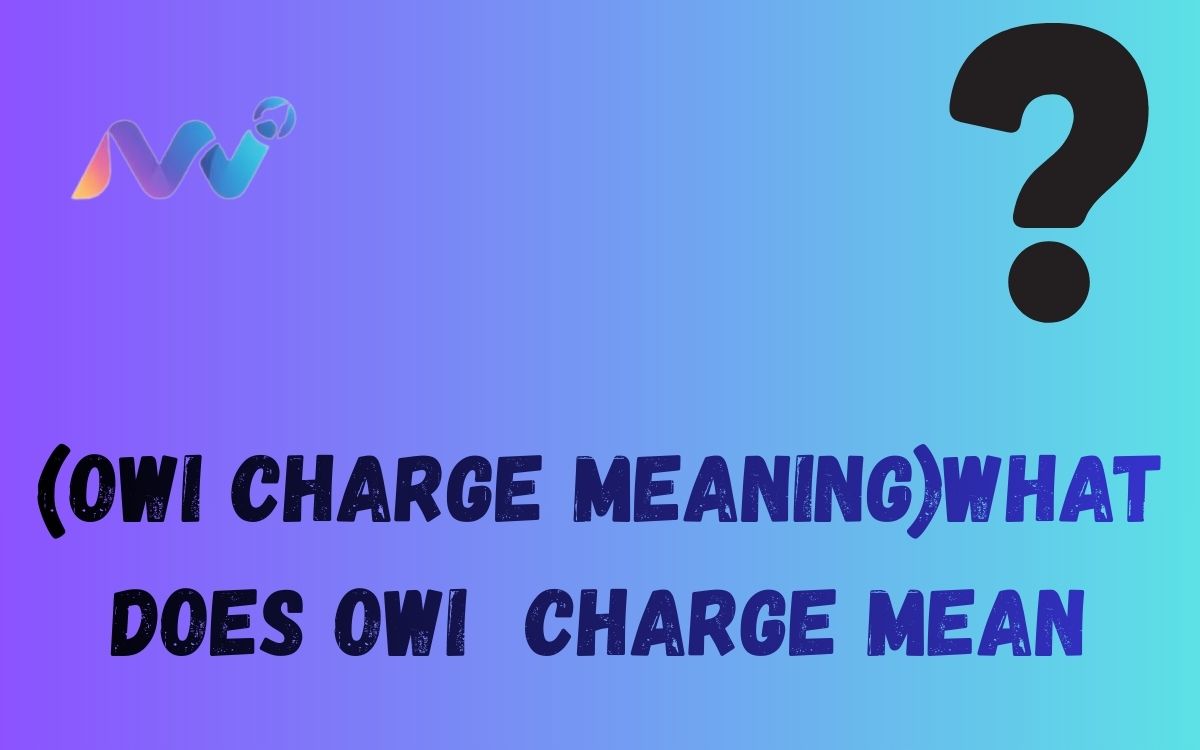 (Owi charge meaning)what does owi charge mean