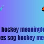 (Sog hockey meaning)what does sog hockey mean
