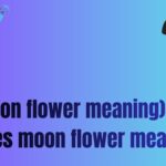 (moon flower meaning)what does moon flower meaning